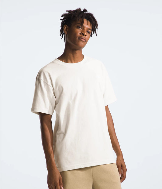 m tops - THE NORTH FACE - Evolution Short Sleeve Box Fit Tee - paulcmcbride